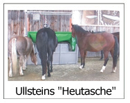 Ullsteins Heutasche